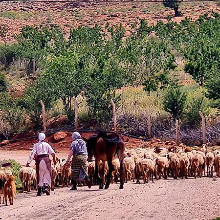 Ferme D"Hote Lala Fatima Ain Leuh Экстерьер фото